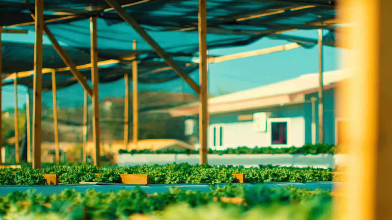 Garden Center in Curaçao